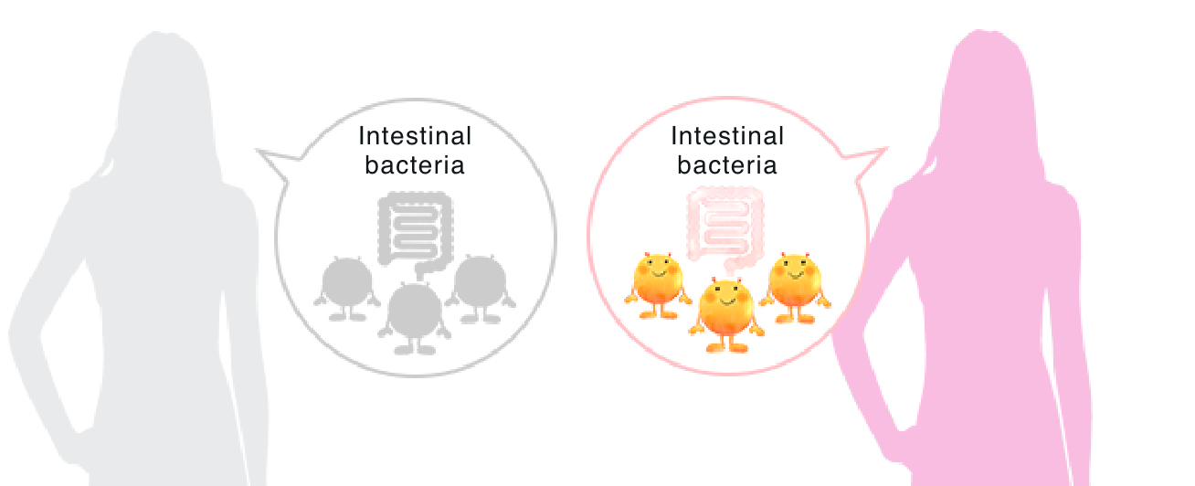 腸道細菌與 Equol