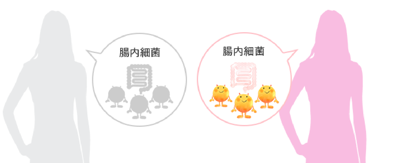 腸道細菌與 Equol