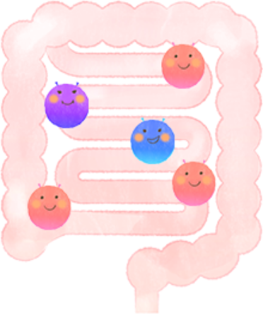 腸道菌群與健康